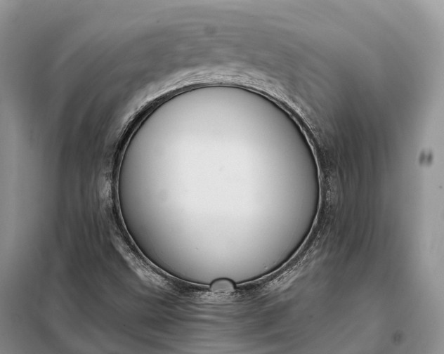 X0000098001499200804071204