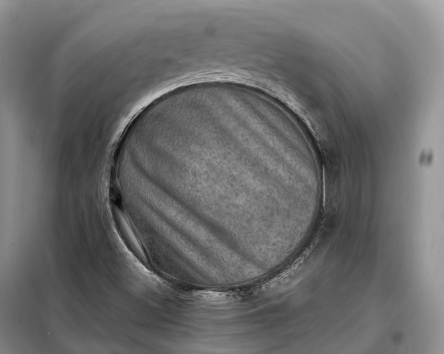 X0000098001500200804071204