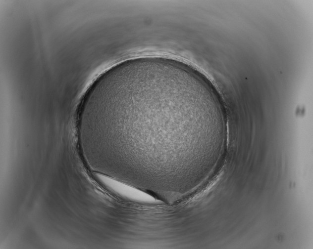 X0000098001501200804071204