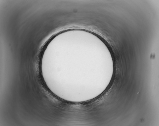 X0000098001502200804071204