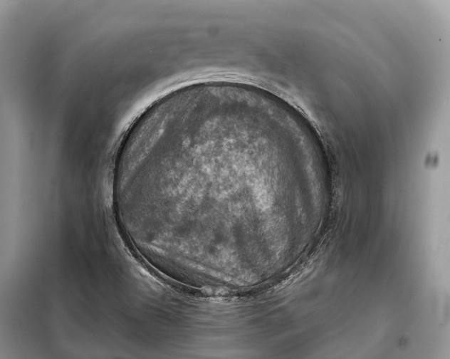 X0000098001504200804071204