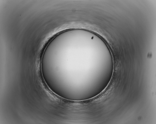 X0000098001507200804071205