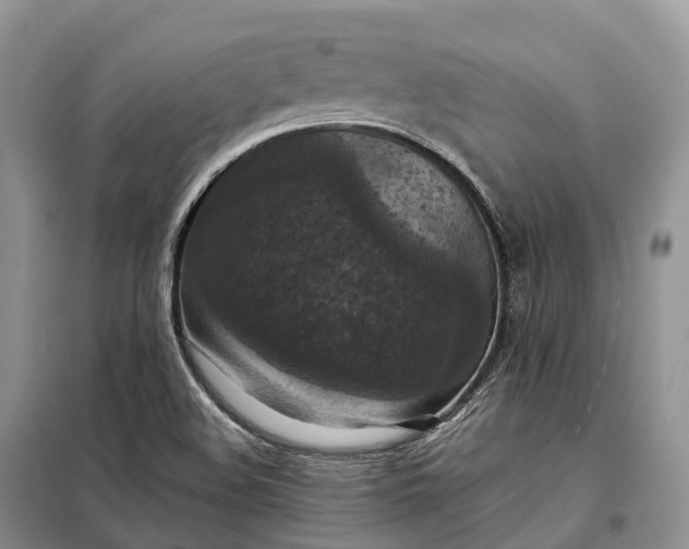 X0000098001508200804071205