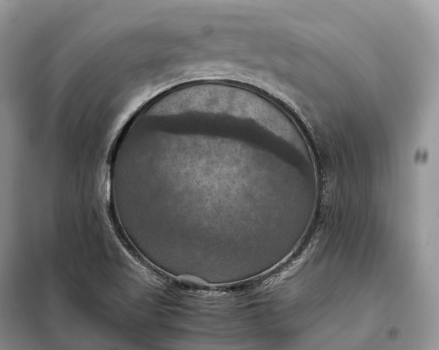 X0000098001509200804071205