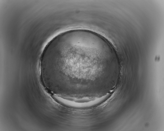 X0000098001510200804071205