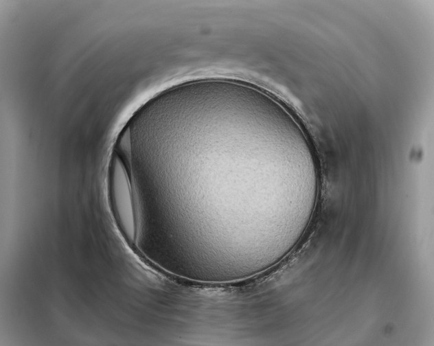 X0000098001512200804071205