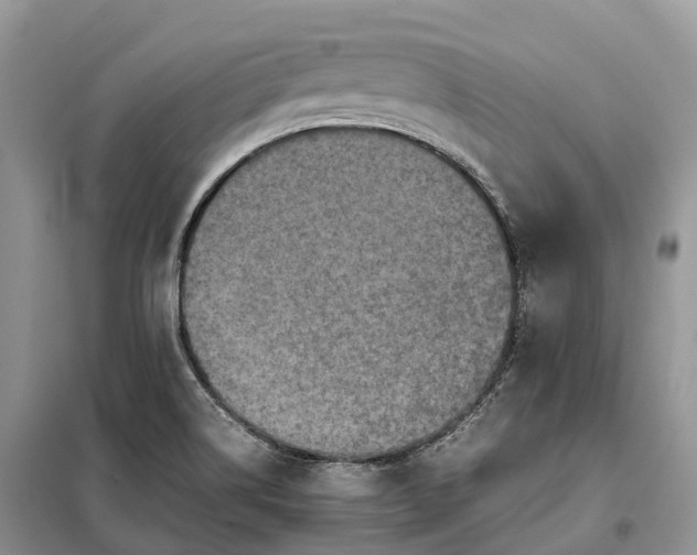 X0000098001514200804071205