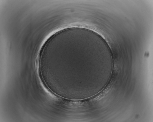 X0000098001515200804071205