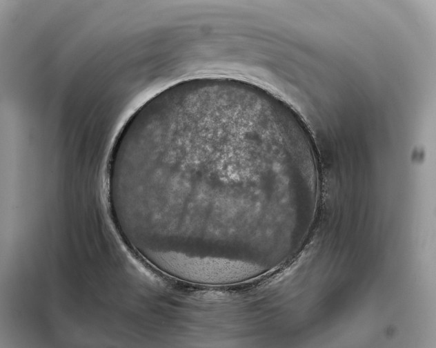 X0000098001517200804071205