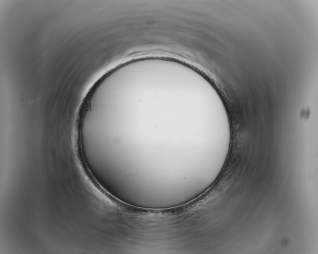 X0000098001518200804071205