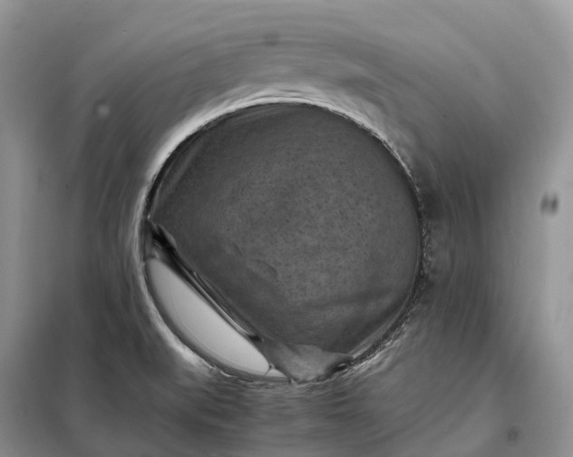 X0000098001519200804071205