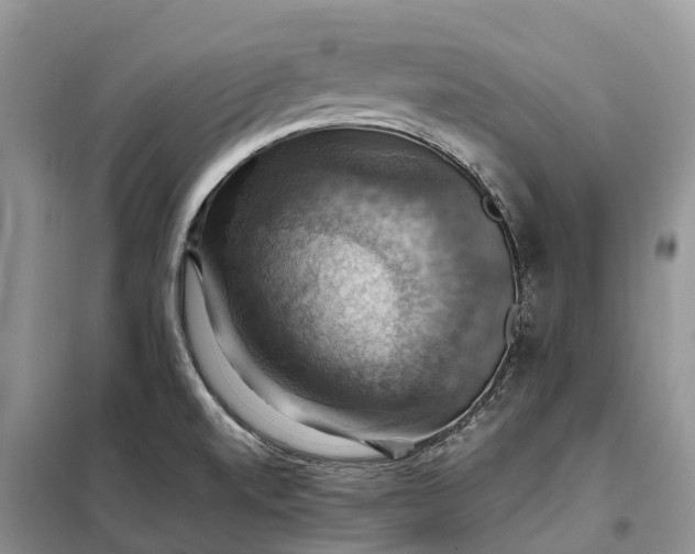 X0000098001520200804071205