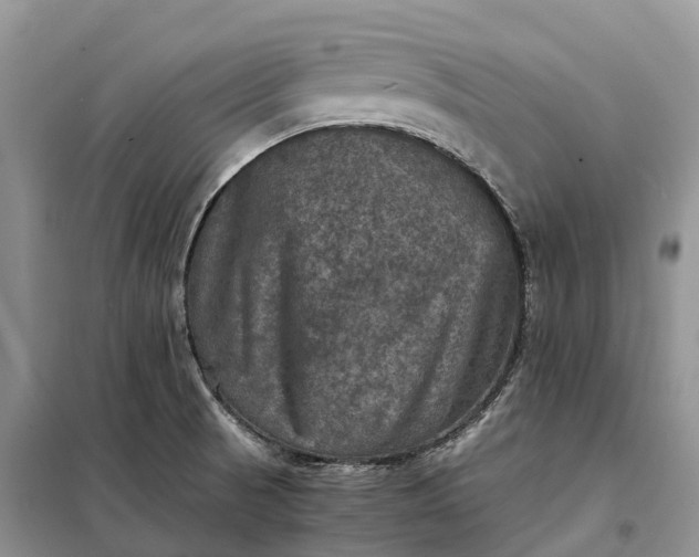 X0000098001521200804071205