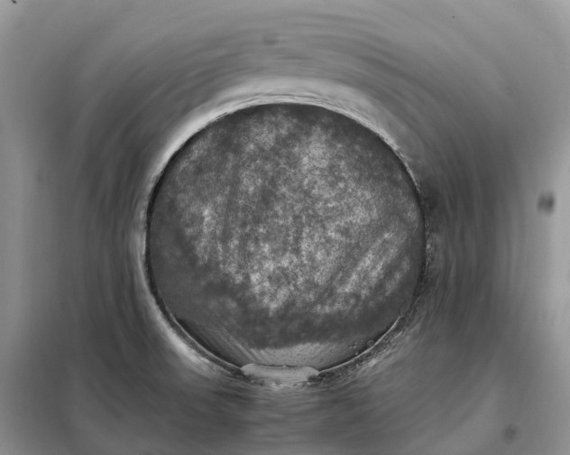 X0000098001523200804071205