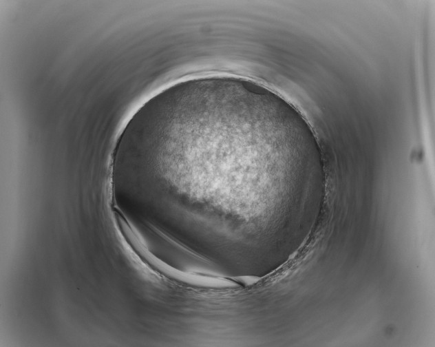 X0000098001524200804071205