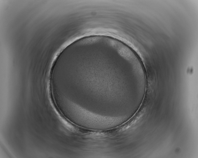 X0000098001525200804071205