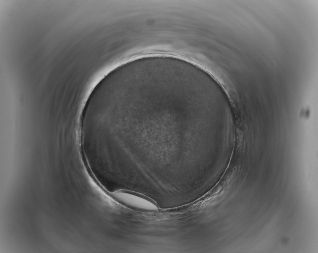 X0000098001527200804071205