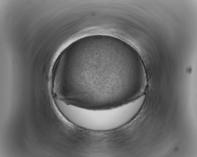 X0000098001528200804071205