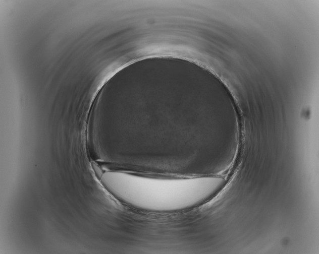 X0000098001529200804071205