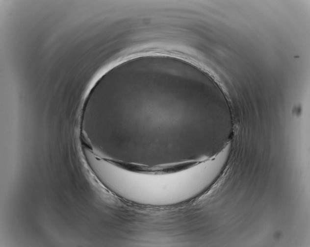 X0000098001530200804071205