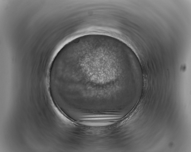 X0000098001531200804071205