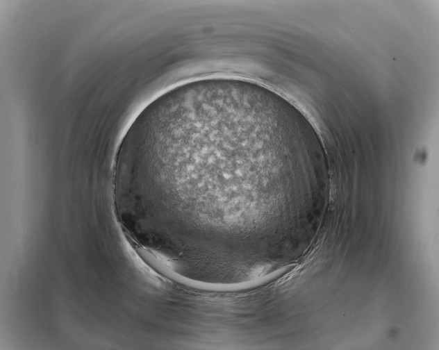 X0000098001532200804071205