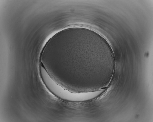 X0000098001533200804071205