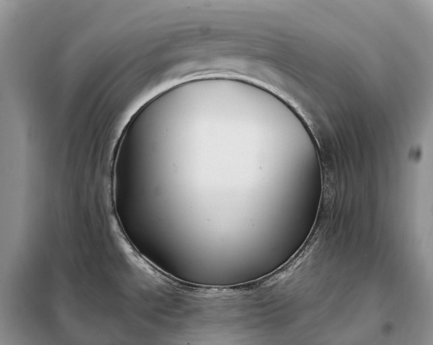 X0000098001534200804071205