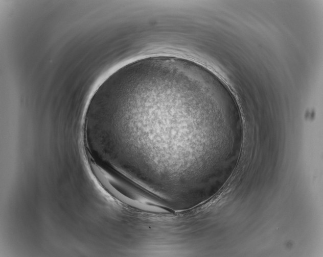 X0000098001536200804071205