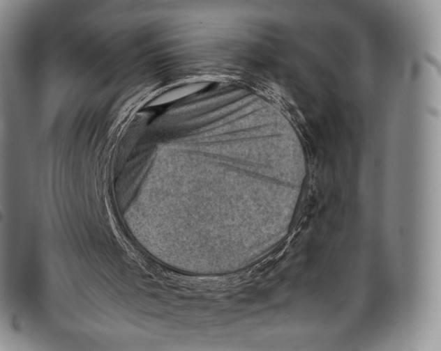 X0000098000001200804141218