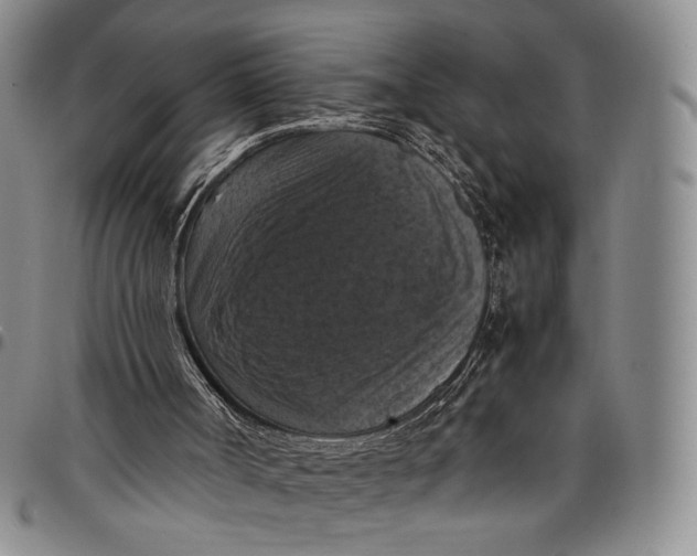 X0000098000002200804141218