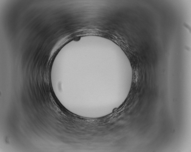 X0000098000004200804141218