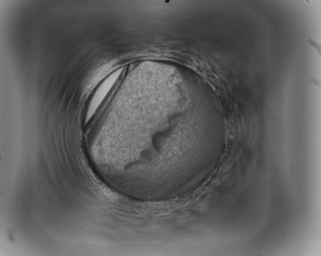 X0000098000005200804141218