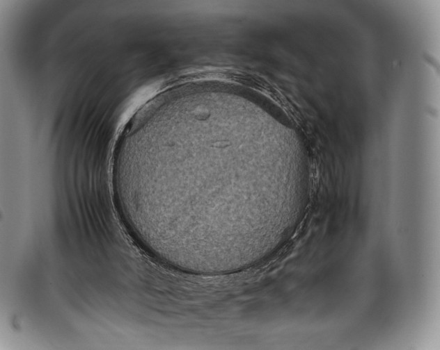 X0000098000006200804141218