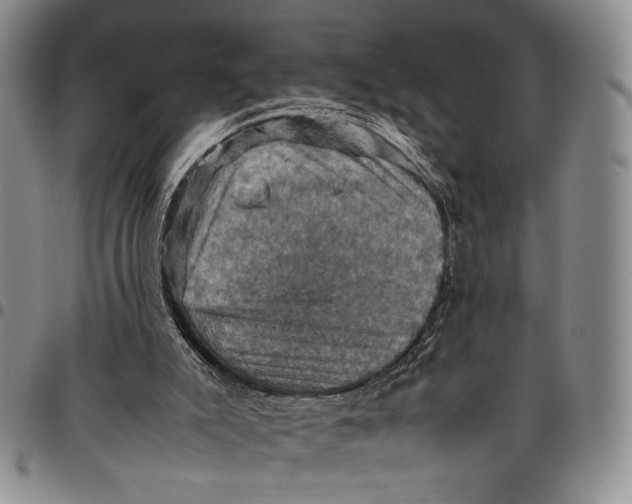 X0000098000007200804141218