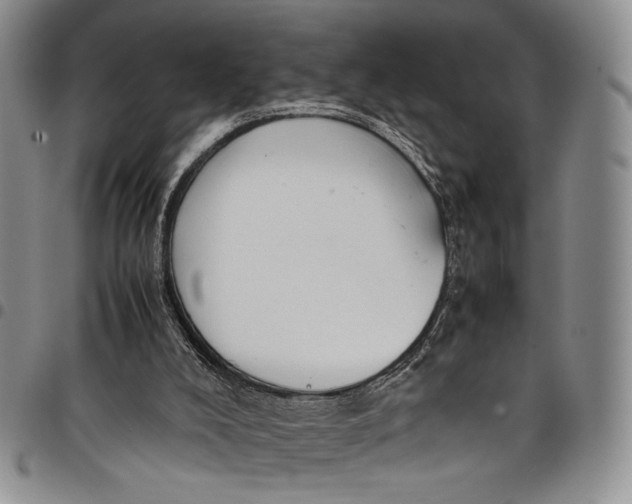 X0000098000008200804141218
