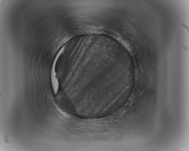 X0000098000009200804141218