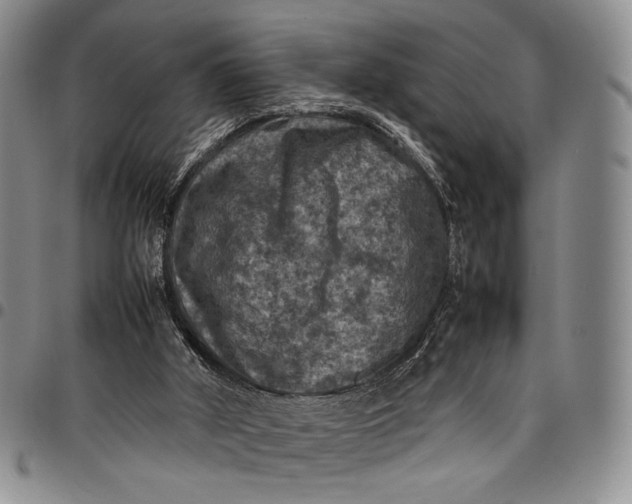 X0000098000010200804141218