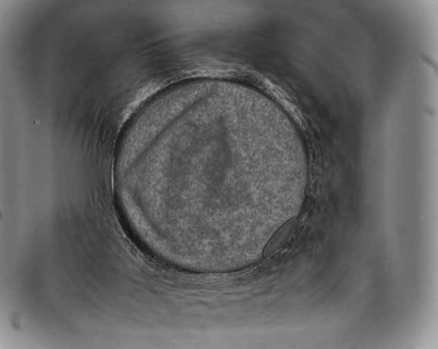 X0000098000011200804141218