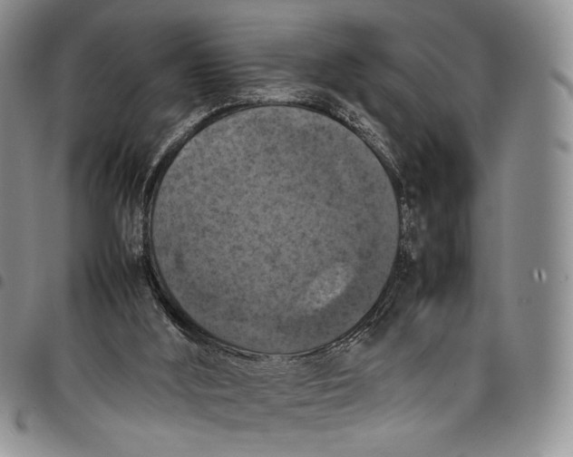 X0000098000012200804141218