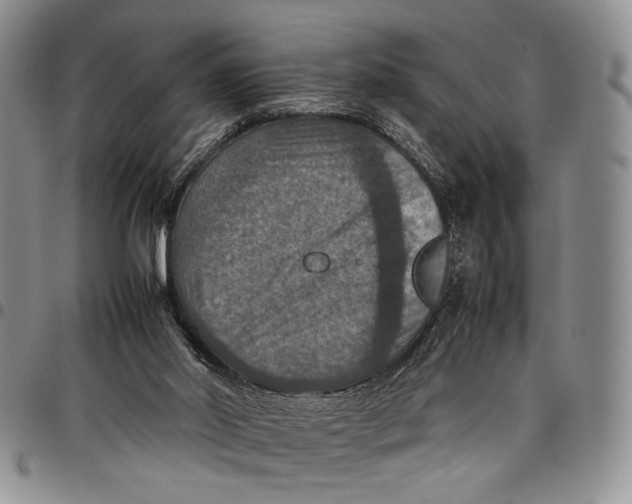 X0000098000014200804141218