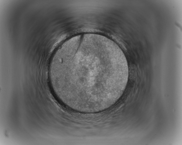 X0000098000015200804141218