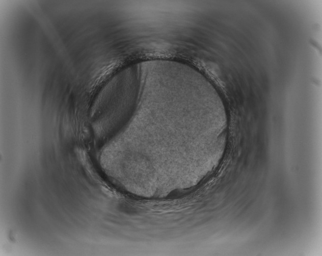 X0000098000017200804141218