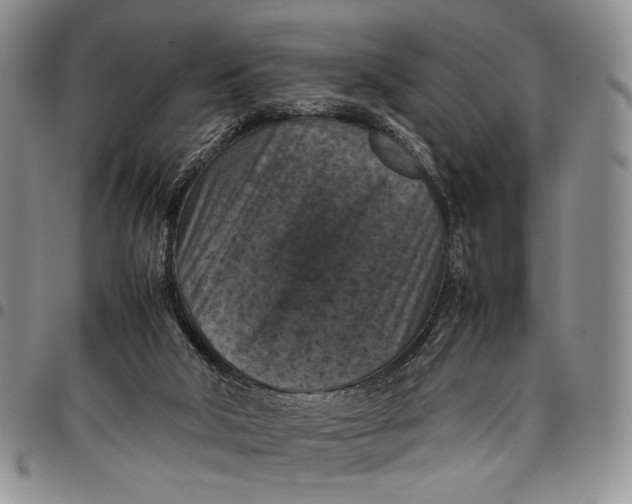 X0000098000018200804141218