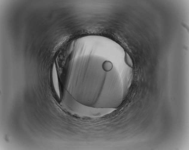 X0000098000019200804141218