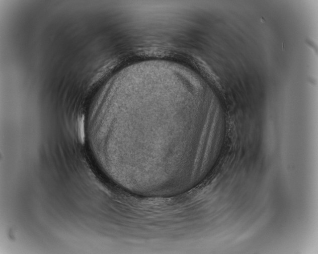 X0000098000020200804141218