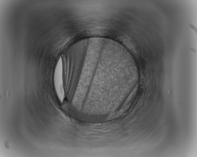 X0000098000021200804141218