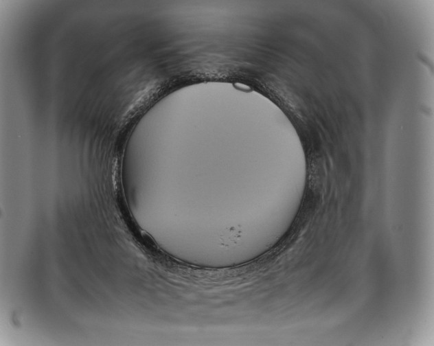 X0000098000023200804141218