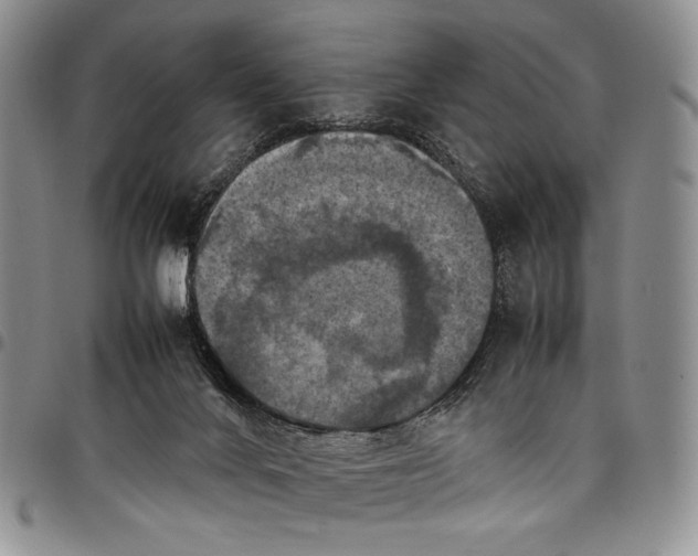 X0000098000024200804141218