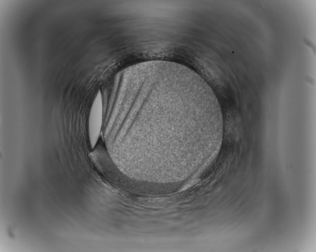 X0000098000025200804141218